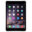 iOS 12.5.5 firmware for iPad Mini 3 (Cellular) – IPSW Download file